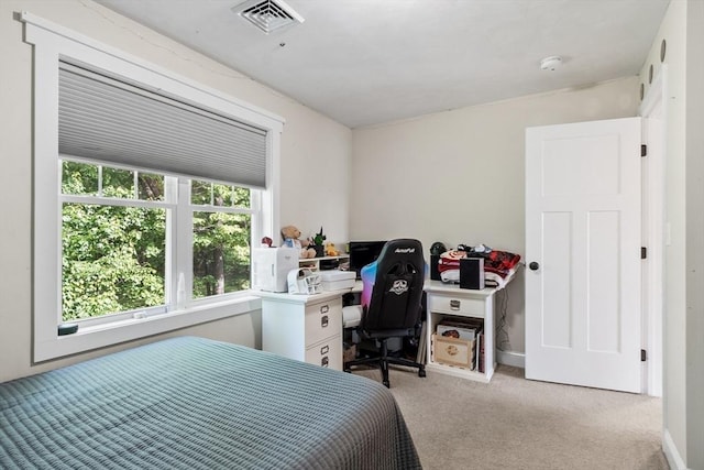 3 Chad Ln, Sterling, MA 01564 - carpeted bedroom with an office area