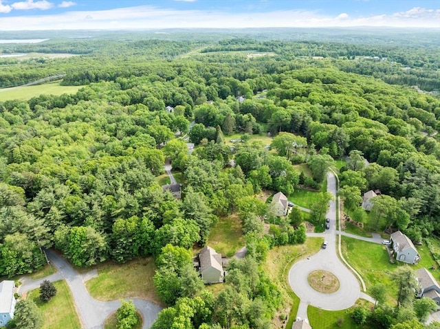 3 Chad Ln, Sterling, MA 01564 - drone / aerial view of a heavily wooded area