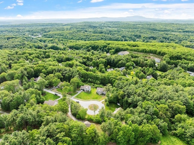 3 Chad Ln, Sterling, MA 01564 - bird's eye view of a heavily wooded area