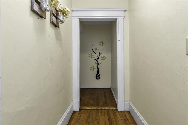 77-79 Grenada Ter, Springfield, MA 01108 - corridor with wood-type flooring and baseboards