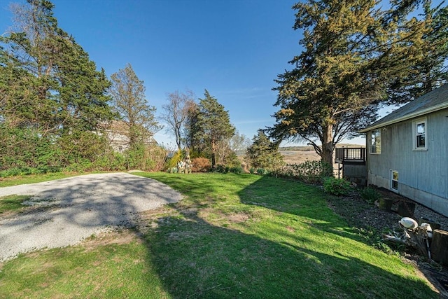 view of grassy yard