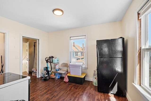 interior space with baseboards, wood finished floors, freestanding refrigerator, and a wealth of natural light