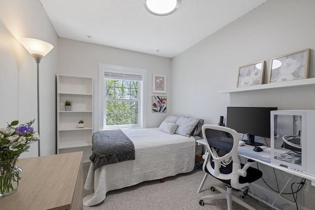 bedroom featuring carpet
