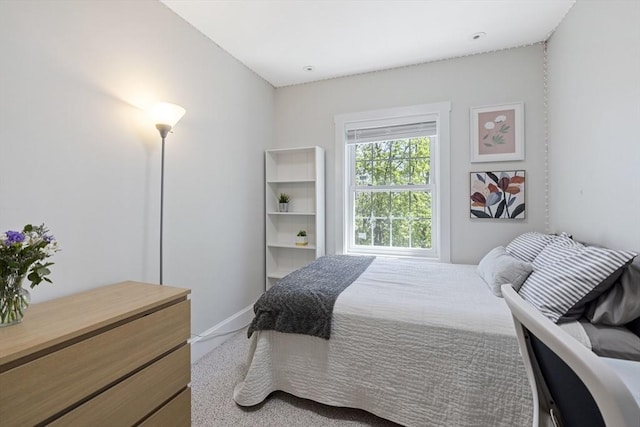 bedroom with carpet floors