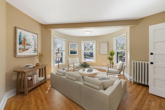 124 Boston Ave, Medford, MA 02155 - living area featuring radiator, light wood-style flooring, plenty of natural light, and baseboards