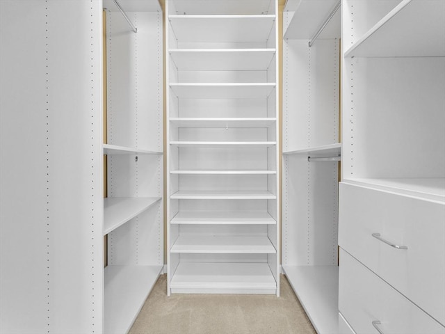 spacious closet with carpet floors