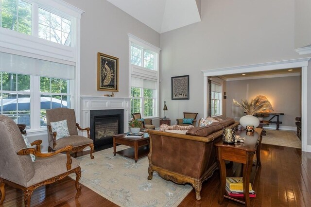 1 Clearview Dr, Franklin, MA 02038 - living room with a towering ceiling, a fireplace, hardwood / wood-style floors, and baseboards