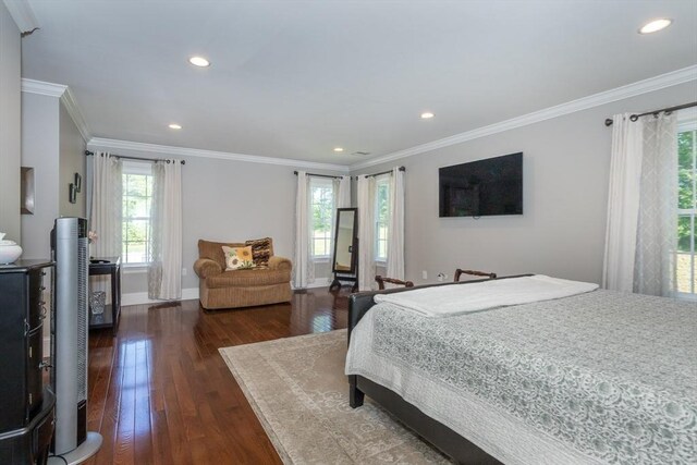 1 Clearview Dr, Franklin, MA 02038 - bedroom with dark wood-style flooring, ornamental molding, recessed lighting, and baseboards