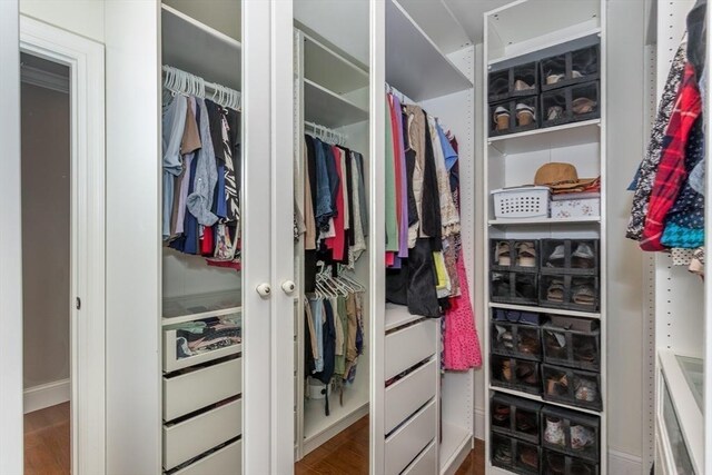 1 Clearview Dr, Franklin, MA 02038 - spacious closet with wood finished floors