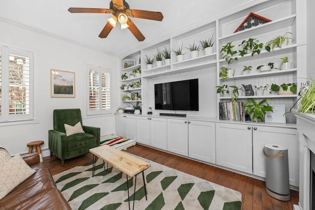 381 Bunker Hill St Unit 1, Boston, MA 02129 - living area featuring dark wood finished floors, ornamental molding, built in features, healthy amount of natural light, and a ceiling fan