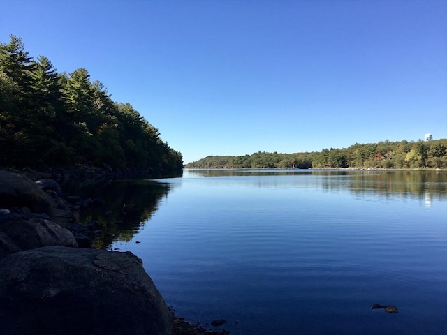 property view of water featuring a view of trees