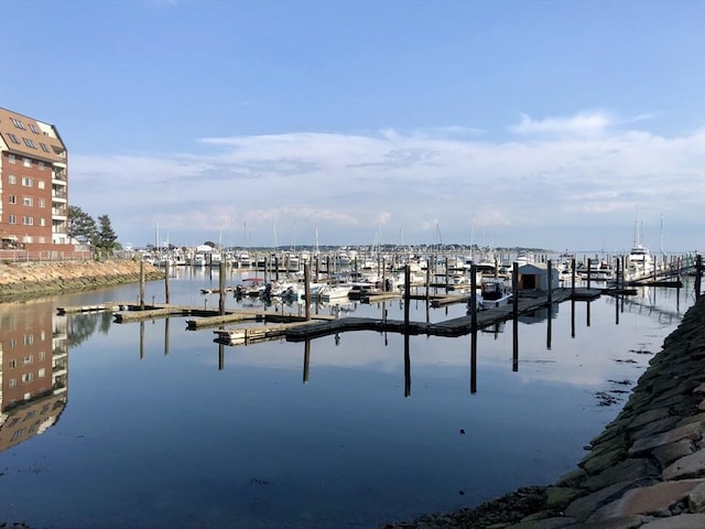 dock area with a water view