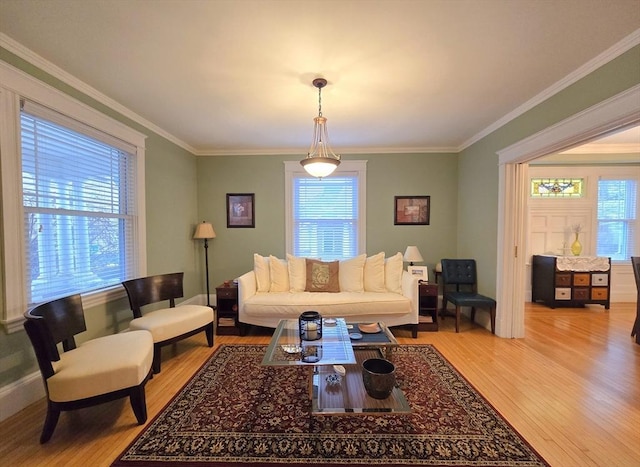 living room featuring crown molding and wood finished floors