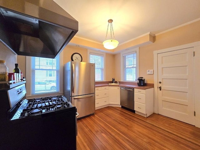 kitchen with stainless steel appliances, hanging light fixtures, white cabinetry, light wood-type flooring, and extractor fan