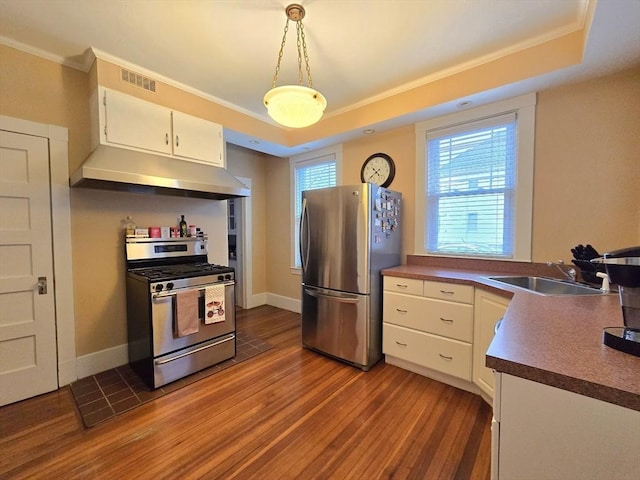 kitchen with a raised ceiling, appliances with stainless steel finishes, decorative light fixtures, under cabinet range hood, and a sink