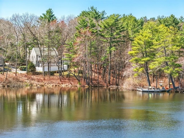 property view of water featuring a wooded view