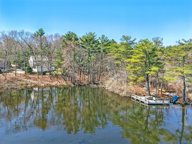 property view of water featuring a boat dock