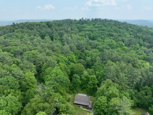 186 Hoosac Rd, Conway, MA 01341 - bird's eye view of a forest