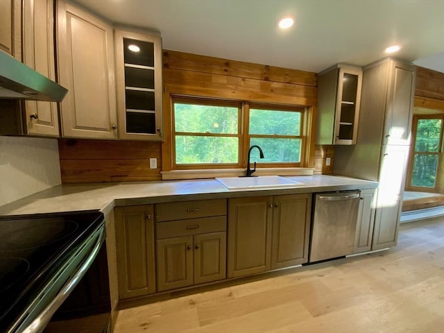 186 Hoosac Rd, Conway, MA 01341 - kitchen with dishwasher, a sink, exhaust hood, black range with electric cooktop, and plenty of natural light