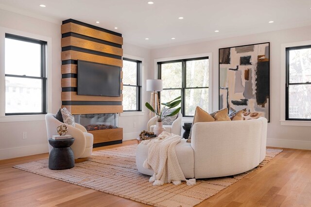 living room featuring ornamental molding, light hardwood / wood-style floors, and plenty of natural light