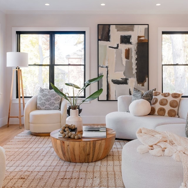 living room featuring light hardwood / wood-style floors and a healthy amount of sunlight