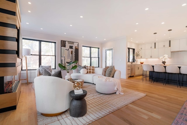 living room with crown molding, sink, a healthy amount of sunlight, and light hardwood / wood-style flooring