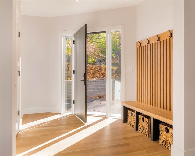 mudroom featuring hardwood / wood-style flooring