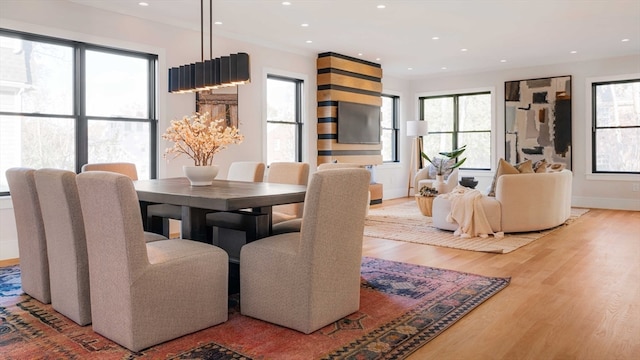 dining room with hardwood / wood-style floors and a healthy amount of sunlight