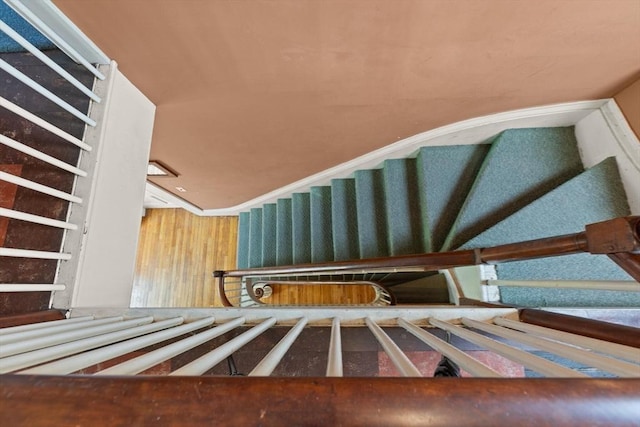 21 College Hill Rd, Somerville, MA 02144 - stairway with a tanning bed