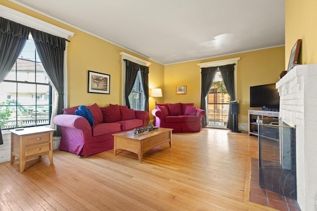 21 College Hill Rd, Somerville, MA 02144 - living area featuring light wood finished floors, ornamental molding, and a fireplace
