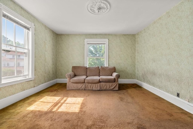 57 Rindge Ave, Cambridge, MA 02140 - living area featuring carpet floors and baseboards