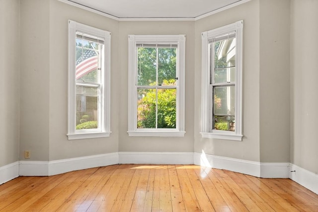 57 Rindge Ave, Cambridge, MA 02140 - spare room featuring plenty of natural light, wood-type flooring, baseboards, and ornamental molding