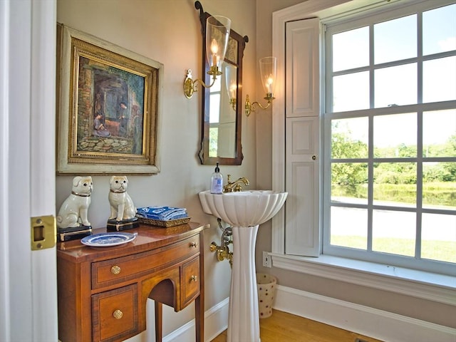 bathroom with hardwood / wood-style flooring and a healthy amount of sunlight