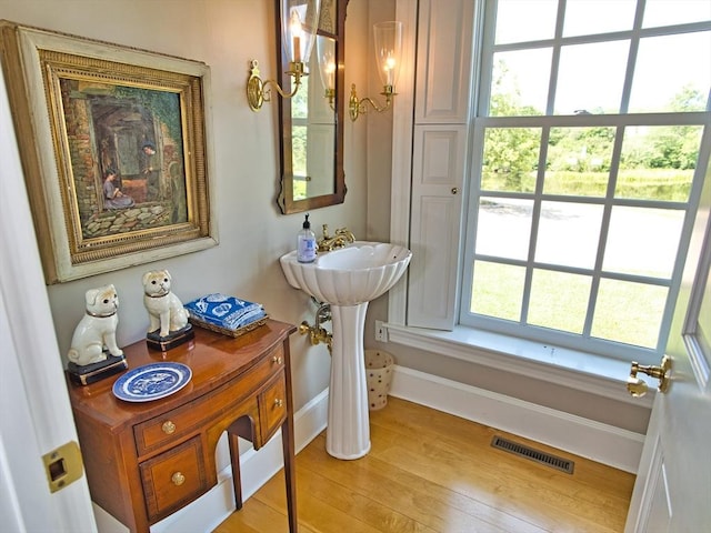 bathroom with wood-type flooring