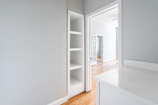 39 Mount Pleasant St, Somerville, MA 02145 - hall featuring light wood-type flooring