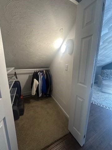 spacious closet with vaulted ceiling