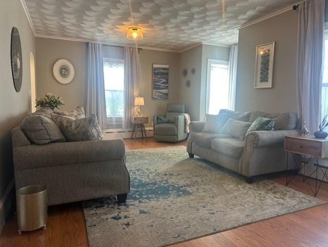 living room featuring a healthy amount of sunlight, crown molding, and wood finished floors