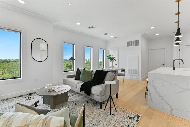 living room with plenty of natural light, sink, crown molding, and light hardwood / wood-style flooring