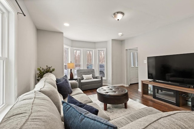 living room with hardwood / wood-style flooring