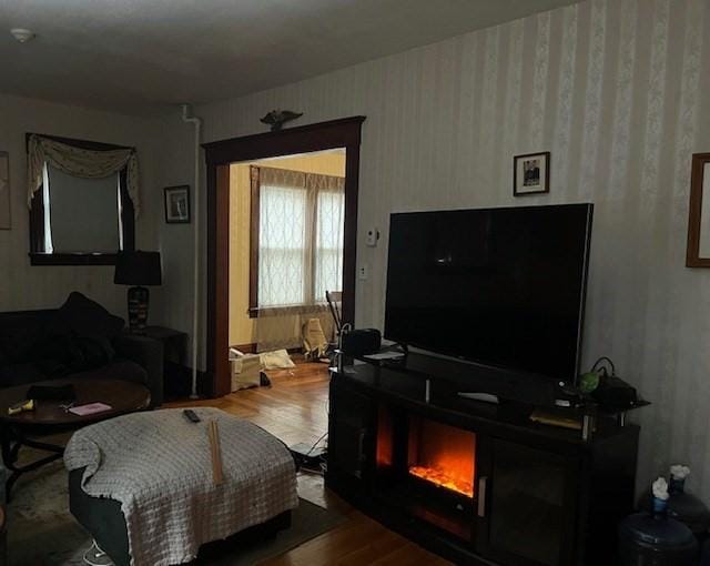 living room featuring wood-type flooring