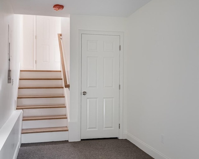 staircase featuring carpet flooring