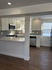 kitchen with white cabinetry, stainless steel appliances, dark hardwood / wood-style flooring, and backsplash