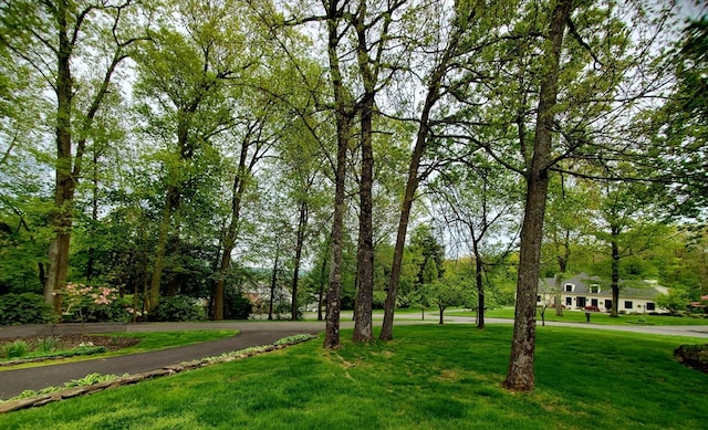 surrounding community featuring a lawn