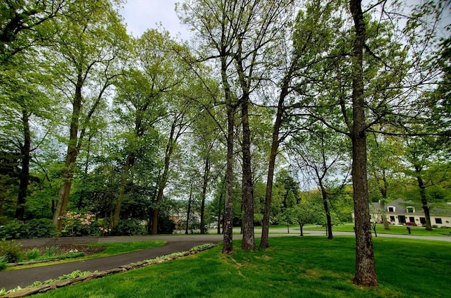 view of nearby features featuring a lawn