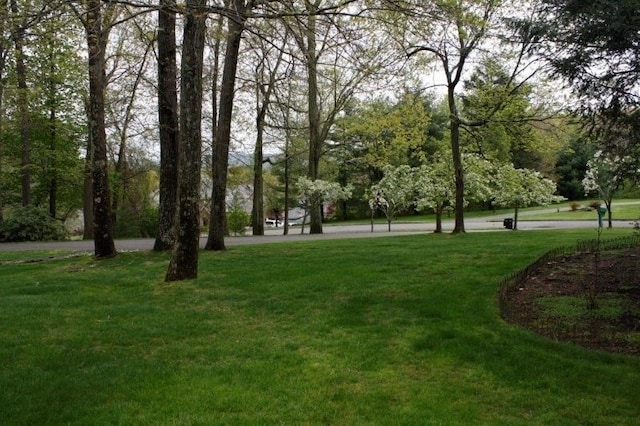 view of property's community with a yard