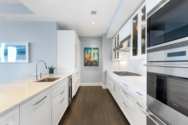 kitchen featuring white cabinetry, stainless steel appliances, sink, and exhaust hood