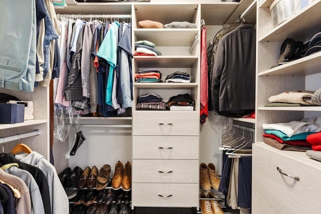 view of spacious closet