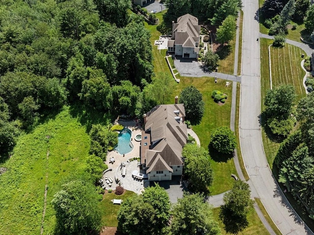 17 Olde Hickory Path, Westborough, MA 01581 - bird's eye view of a pool