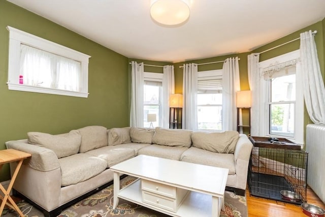 57 Ardale St, Boston, MA 02131 - living area with wood finished floors and radiator