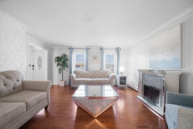 living area featuring crown molding, baseboard heating, a fireplace, wood finished floors, and baseboards